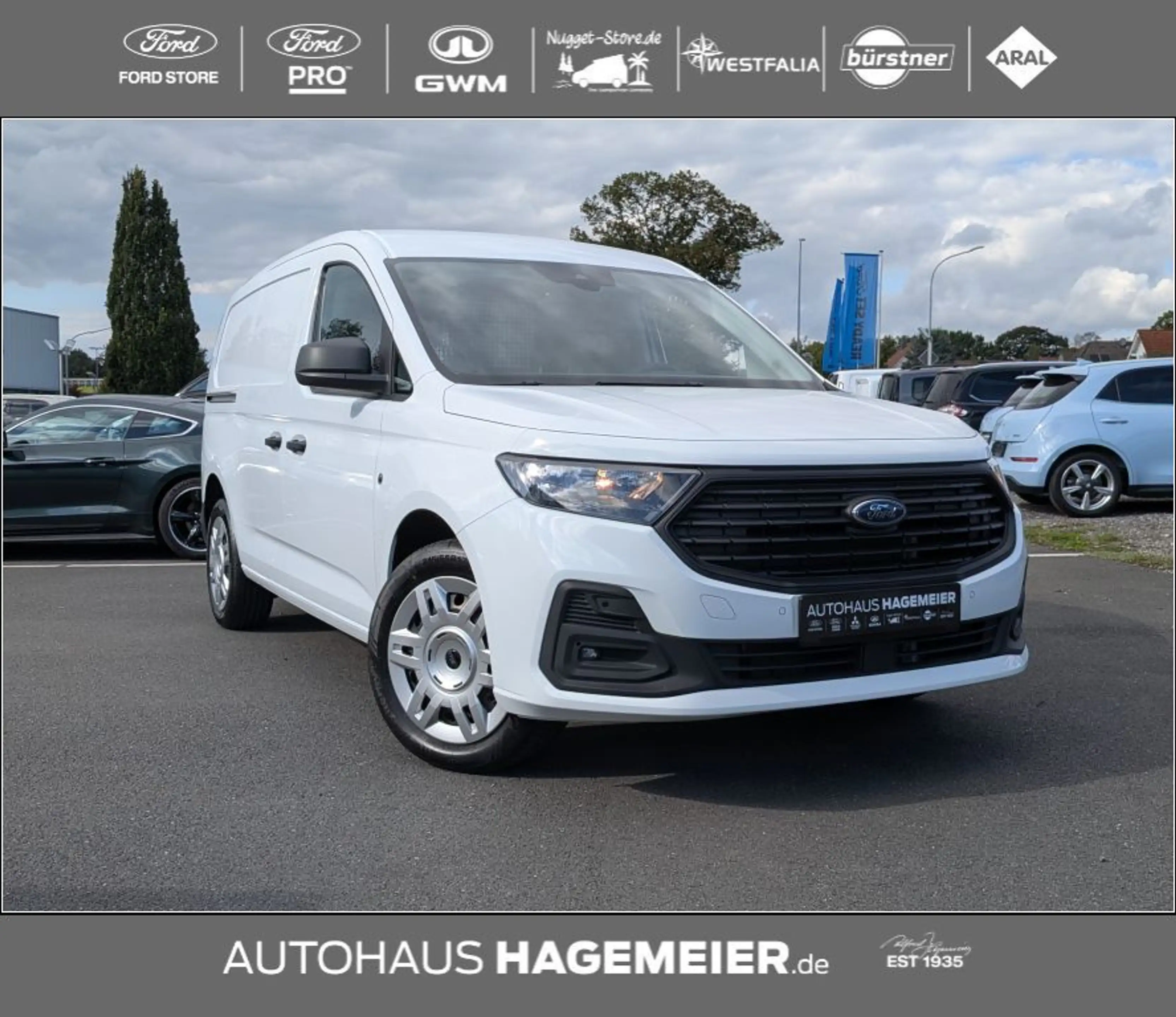 Ford Transit Connect L2 Trend 2.0 Ecoblue