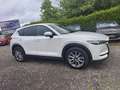 Mazda CX-5 G165 AWD ALLRAD Takumi Automatik Weiß - thumbnail 4