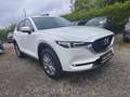 Mazda CX-5 G165 AWD ALLRAD Takumi Automatik Weiß - thumbnail 1