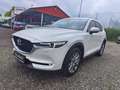 Mazda CX-5 G165 AWD ALLRAD Takumi Automatik Weiß - thumbnail 3