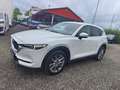 Mazda CX-5 G165 AWD ALLRAD Takumi Automatik Weiß - thumbnail 7