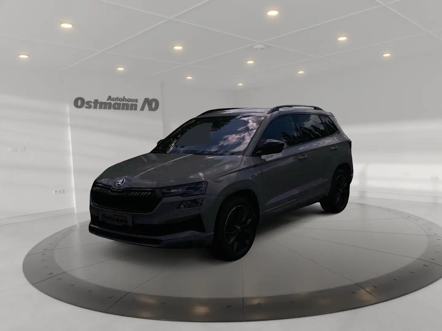 Skoda Karoq 2.0 TSI Sportline 4x4 ACC STH RFK Matrix DCC Grau - 1