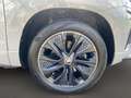 Skoda Karoq 2.0 TSI Sportline 4x4 ACC STH RFK Matrix DCC Grau - thumbnail 5