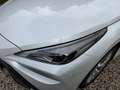 Toyota Mirai DYNAMIC Waterstof NIEUW 5 jaar garantie #BTW Weiß - thumbnail 22