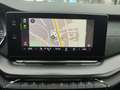 Skoda Octavia Combi 2.0 TDI DSG  RS Plus 4x4 Navi*Pano Weiß - thumbnail 7