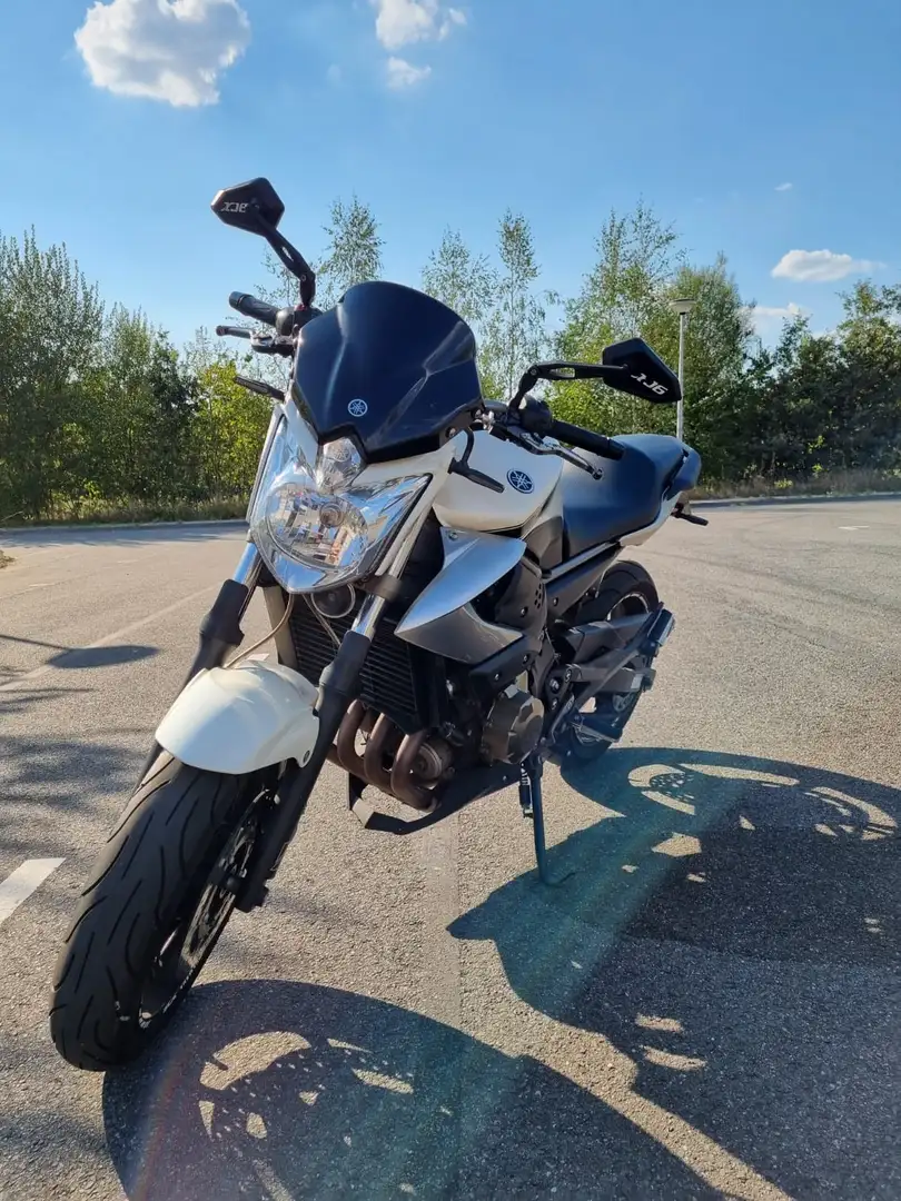 Yamaha XJ 6 White - 1