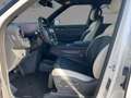 Kia EV9 GT-LINE LAUNCH EDITION AWD Glasdach+360° Weiß - thumbnail 9