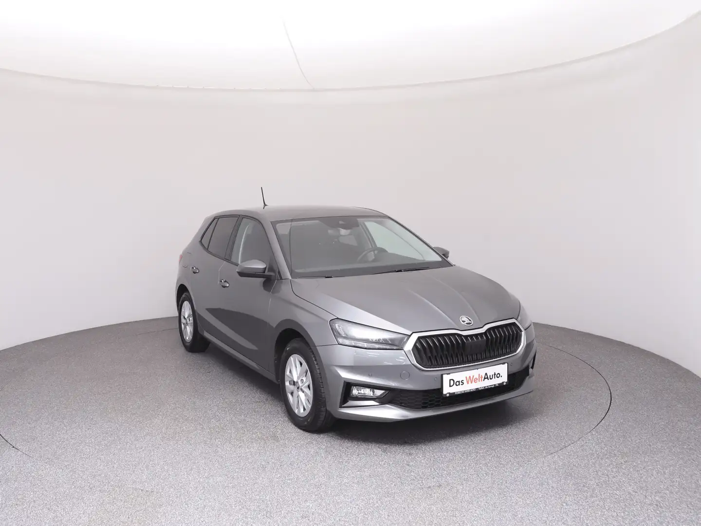 Skoda Fabia Selection TSI Grau - 2