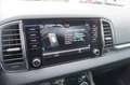 Skoda Karoq 1.5 TSI ACT Greentech 150pk Business Edition Panor Gris - thumbnail 39