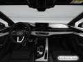 Audi A5 40 TDI qu. S tronic S line business Grau - thumbnail 12
