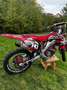 Honda CRF 250 CRF XR 250 crosser Czerwony - thumbnail 2