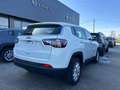 Jeep Compass 1.6 Multijet II 2WD Longitude Blanc - thumbnail 3