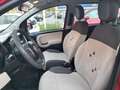 Fiat Panda !!! OCCASIONE !!! Oro - thumbnail 9