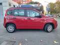 Fiat Panda !!! OCCASIONE !!! Oro - thumbnail 8