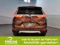 Honda CR-V 4WD Executive Panoramadach+Leder+SPortPaket+ACC+LE Braun - thumbnail 3