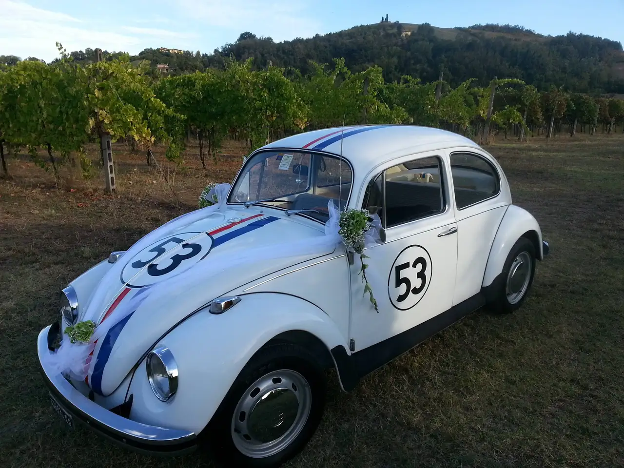 Volkswagen Maggiolino, foto 3
