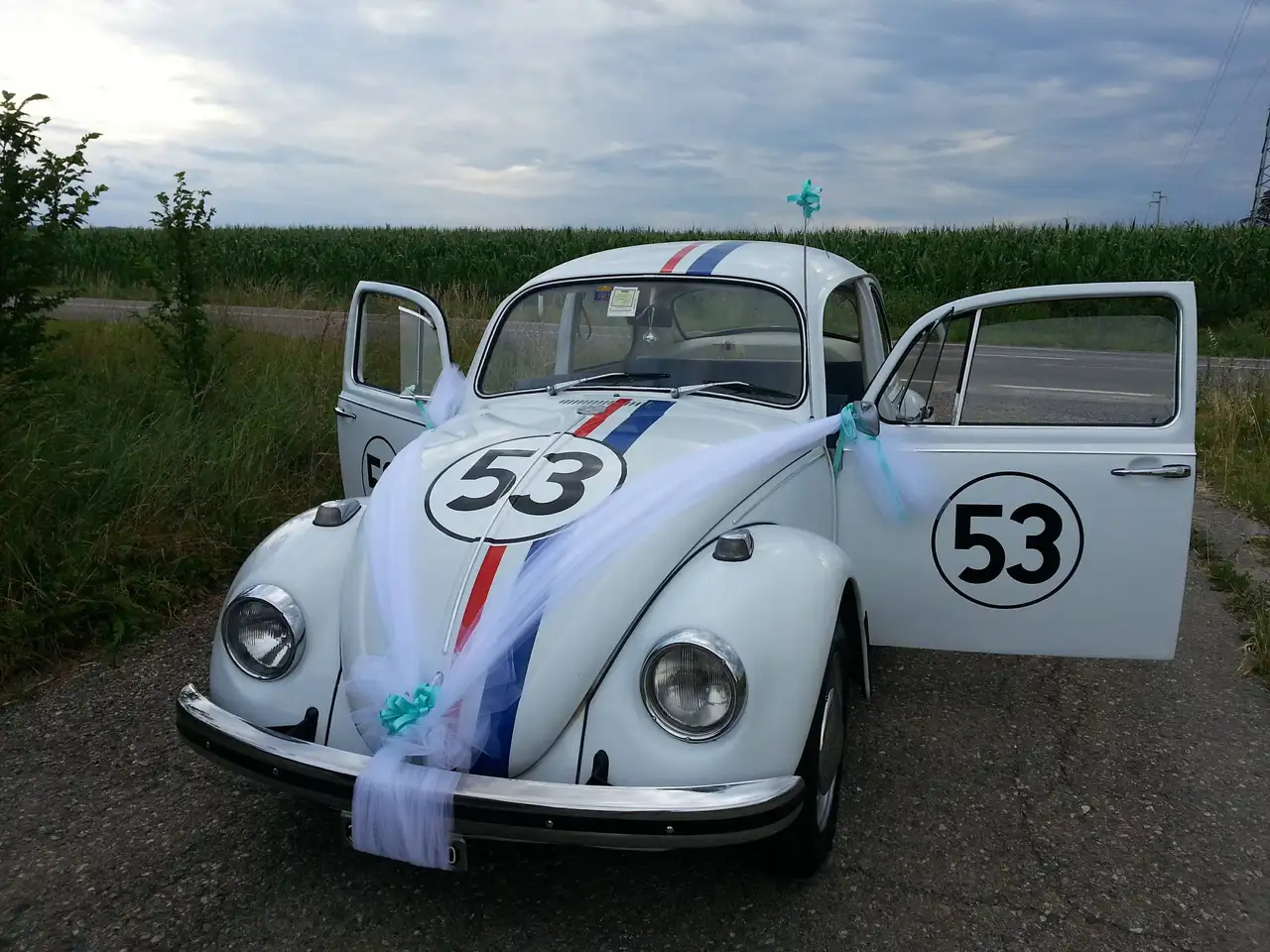 Volkswagen Maggiolino, foto 5