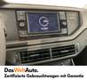 Volkswagen Polo Austria Gris - thumbnail 12