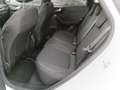 Ford Puma Puma 1.5 EcoBlue 120 CV S&S Titanium Bianco - thumbnail 12