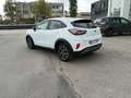 Ford Puma Puma 1.5 EcoBlue 120 CV S&S Titanium Bianco - thumbnail 4