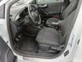 Ford Puma Puma 1.5 EcoBlue 120 CV S&S Titanium Bianco - thumbnail 10