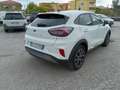 Ford Puma Puma 1.5 EcoBlue 120 CV S&S Titanium Bianco - thumbnail 6