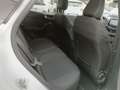 Ford Puma Puma 1.5 EcoBlue 120 CV S&S Titanium Bianco - thumbnail 13