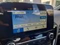 Ford Fiesta 1.5 TDCi 5 porte Plus Grau - thumbnail 21