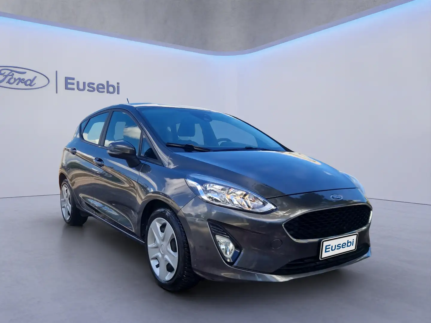 Ford Fiesta 1.5 TDCi 5 porte Plus Grau - 1