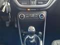 Ford Fiesta 1.5 TDCi 5 porte Plus Grau - thumbnail 12