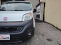Fiat Fiorino 1.3 MJT 95CV Cargo SX EURO 6D - FINANZIABILE Bianco - thumbnail 3