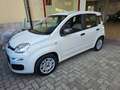 Fiat Panda Panda III 2021 1.0 firefly hybrid s PREZZO REALE! Bianco - thumbnail 1
