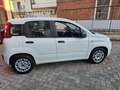 Fiat Panda Panda III 2021 1.0 firefly hybrid s PREZZO REALE! Bianco - thumbnail 6
