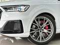 Audi SQ7 TDI quattro tiptronic (14.75) Biały - thumbnail 9