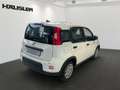 Fiat Panda Hybrid 1.0 GSE Klima, Tempomat, ISOFIX, Parksens. Wit - thumbnail 4