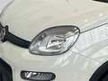 Fiat Panda Hybrid 1.0 GSE Klima, Tempomat, ISOFIX, Parksens. Weiß - thumbnail 7