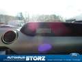 Ford Mustang GT SCHALTER|PREMIUM PAKET|PERFORMANCE PAKET|XENON- Schwarz - thumbnail 24