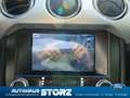 Ford Mustang GT SCHALTER|PREMIUM PAKET|PERFORMANCE PAKET|XENON- Schwarz - thumbnail 21
