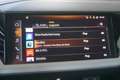 Audi Q4 e-tron e-tron 50 quattro Navi ACC RFK Grau - thumbnail 13