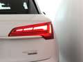 Audi Q5 40 TDI quattro intense Blanc - thumbnail 14