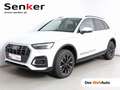 Audi Q5 40 TDI quattro intense Blanc - thumbnail 1