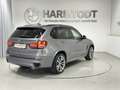 BMW X5 X5 xDrive30d Grau - thumbnail 6