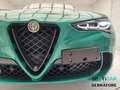 Alfa Romeo Stelvio Stelvio Quadrifoglio My23 2.9V6 Bi-Turbo 520 Cv A Zielony - thumbnail 16
