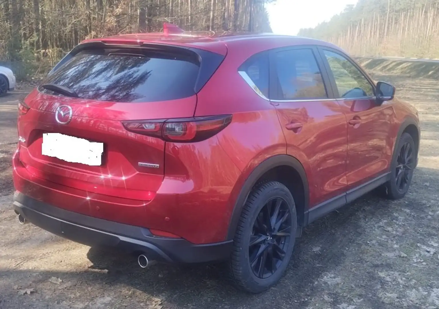 Mazda CX-5 CX-5 SKYACTIV-G 194 AWD Aut.*AHK*Matrix*Nav*Kamera Rot - 2