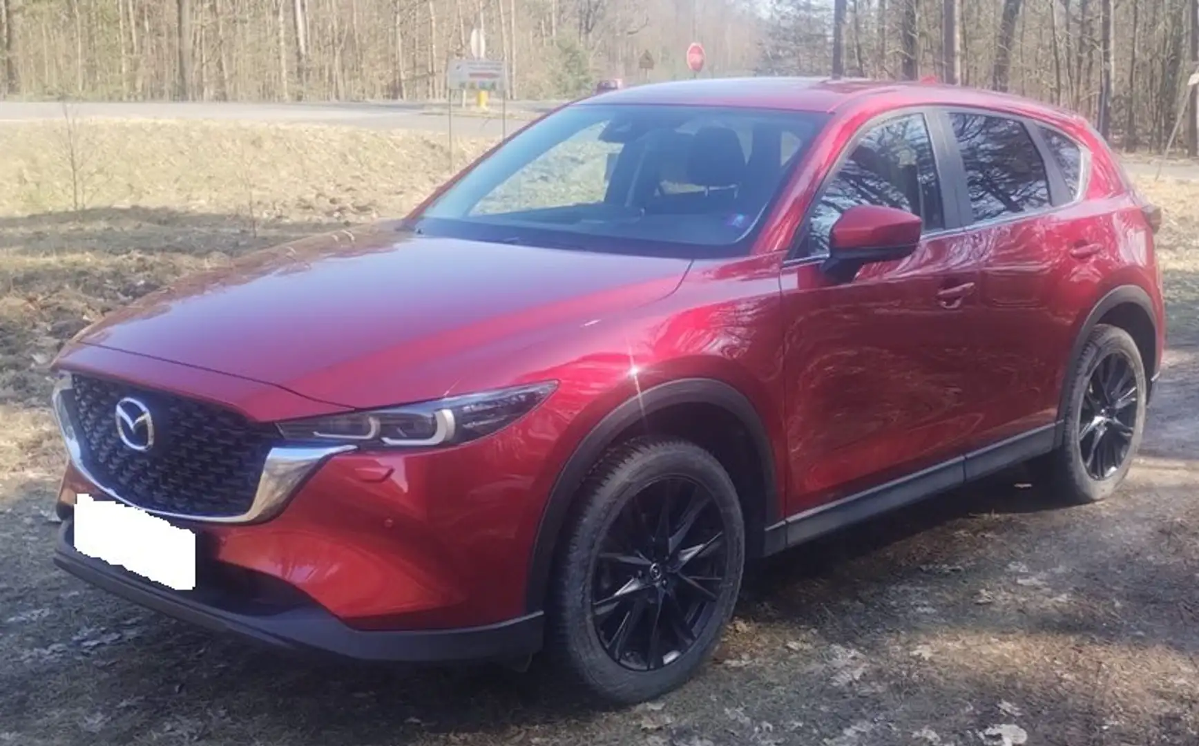 Mazda CX-5 CX-5 SKYACTIV-G 194 AWD Aut.*AHK*Matrix*Nav*Kamera Rot - 1