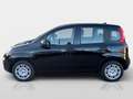 Fiat Pandina FireFly Hybrid 70 Icon Schwarz - thumbnail 6