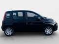 Fiat Pandina FireFly Hybrid 70 Icon Schwarz - thumbnail 3