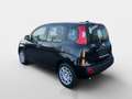 Fiat Pandina FireFly Hybrid 70 Icon Schwarz - thumbnail 5