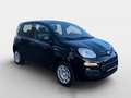 Fiat Pandina FireFly Hybrid 70 Icon Schwarz - thumbnail 2