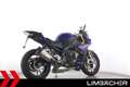 BMW S 1000 R Akrapovic, QS, DTC Niebieski - thumbnail 9